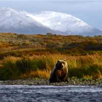 Kodiak Island, Alaska - one of the world’s last truly wild frontiers