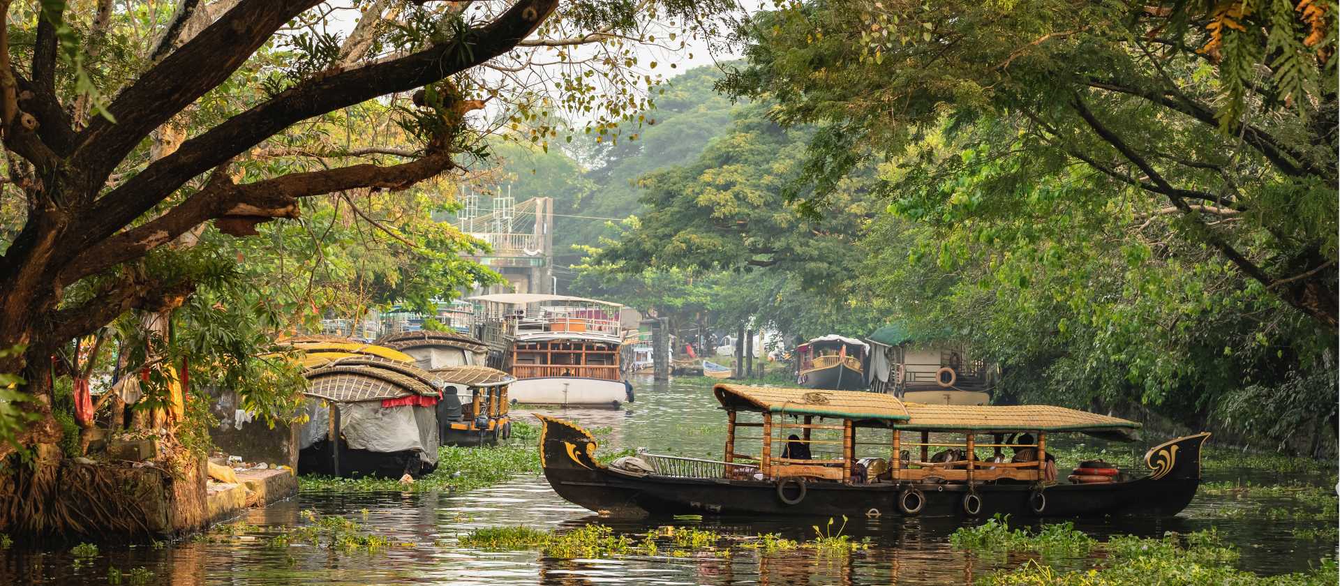 Discover local life along the backwaters of Kerala