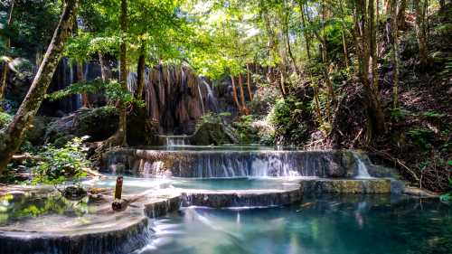 Visit Moyo Island, home to incredible forests and waterfalls