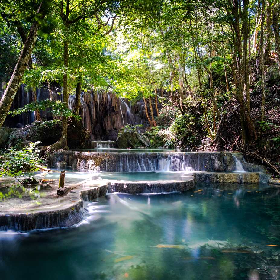 Visit Moyo Island, home to incredible forests and waterfalls