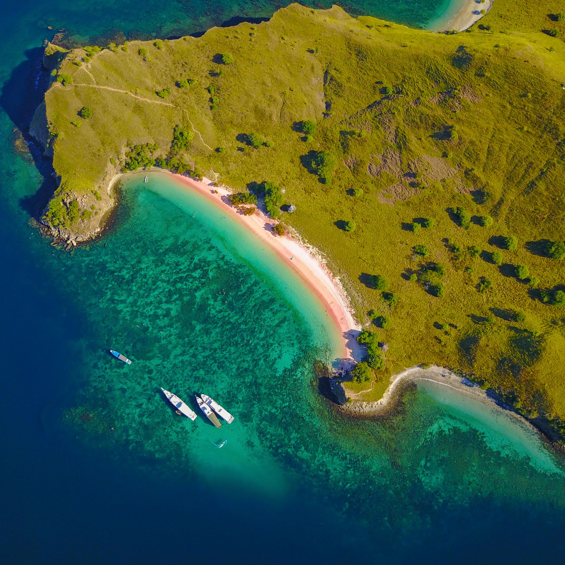 Pink Beach, Komodo Indonesia