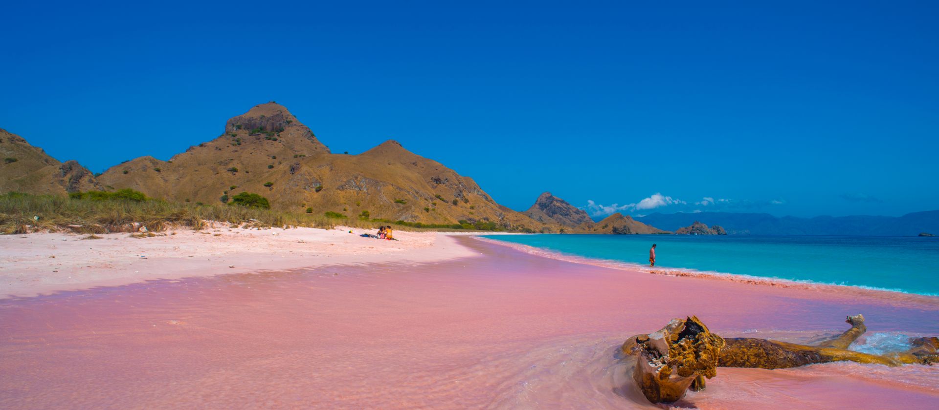 The fabulous pink beaches of Komodo