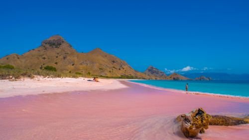 The fabulous pink beaches of Komodo