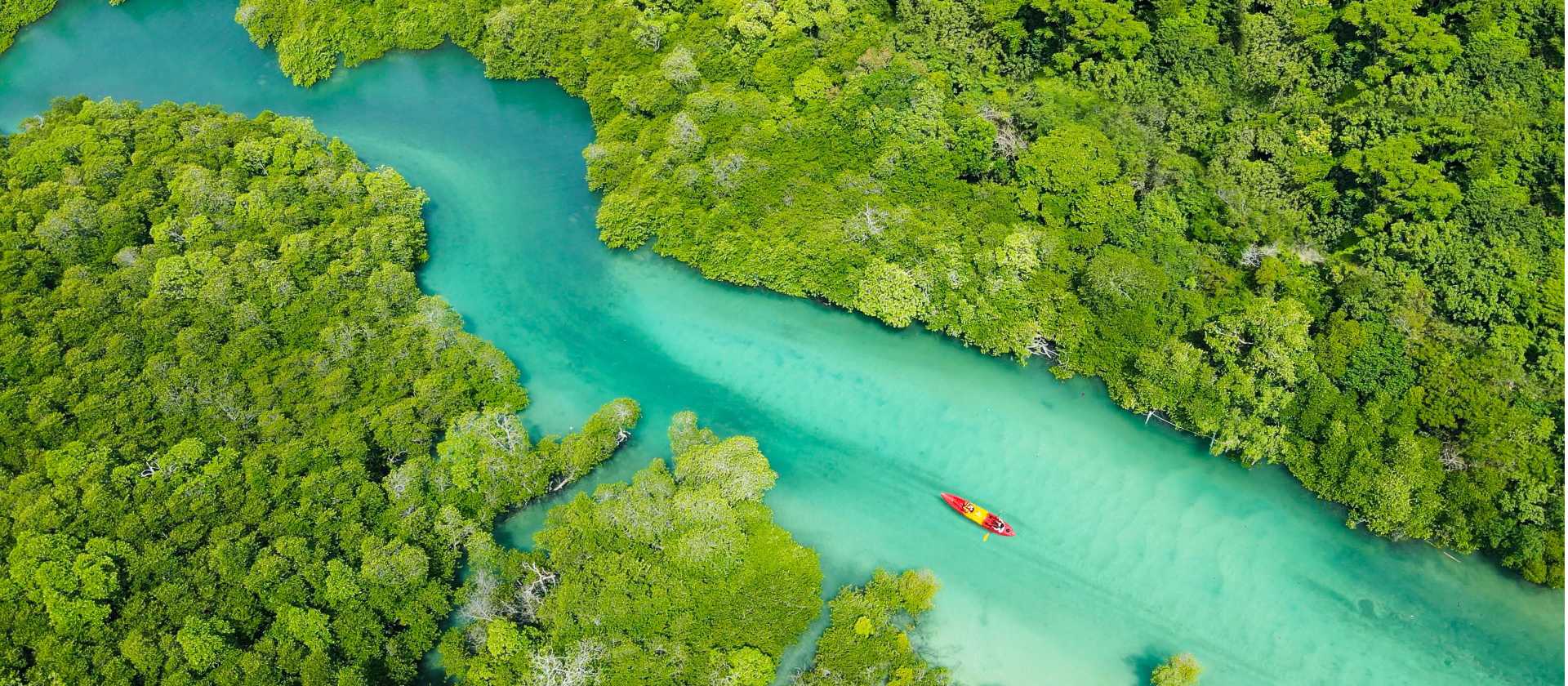 Kayaking the crystal clear waters around Phi Phi