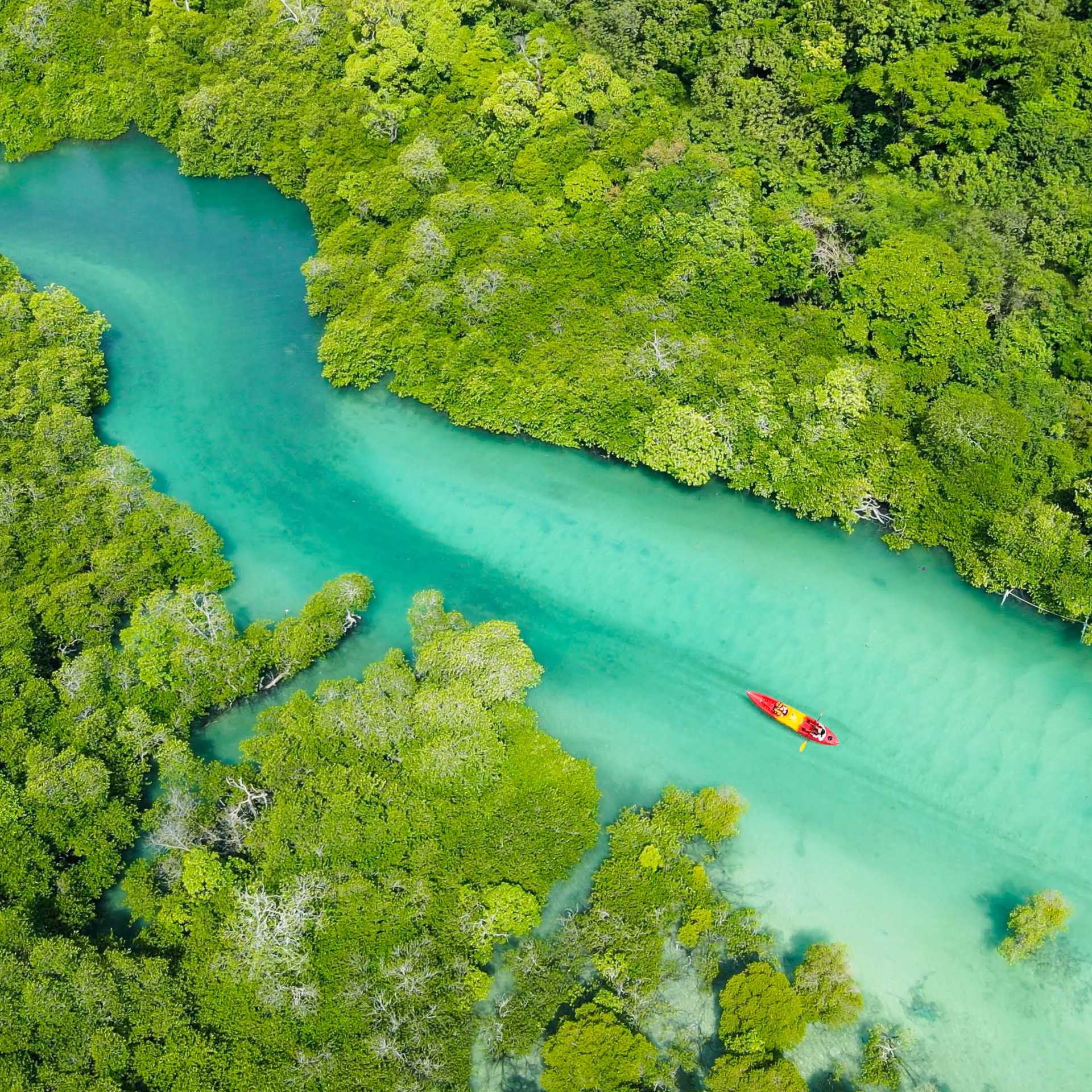 Kayaking the crystal clear waters around Phi Phi