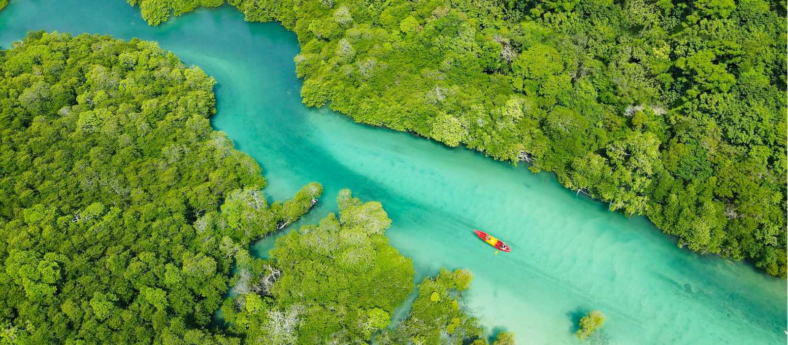 Kayaking the crystal clear waters around Phi Phi
