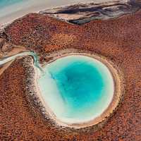 A myriad of colours, Shark Bay area in Western Australia