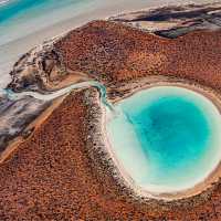 A myriad of colours, Shark Bay area in Western Australia