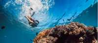 Snorkelling the warm waters of Hawaii