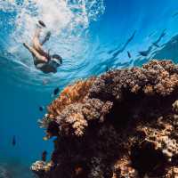 Snorkelling the warm waters of Hawaii