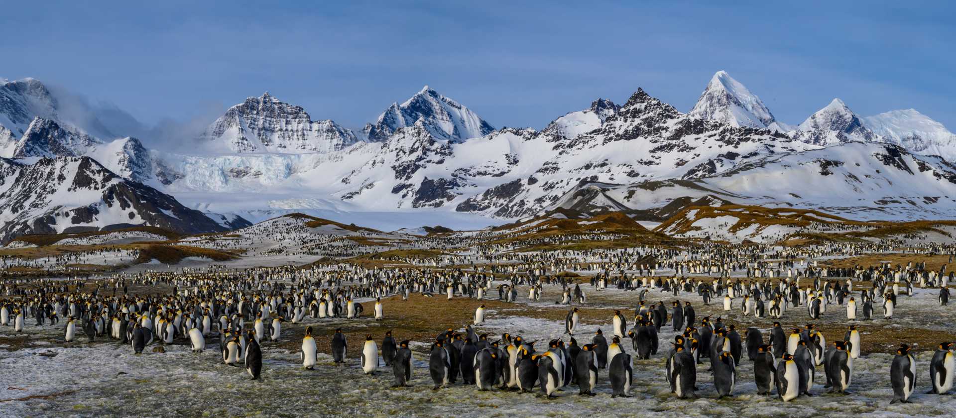 The raw beauty of South Georgia