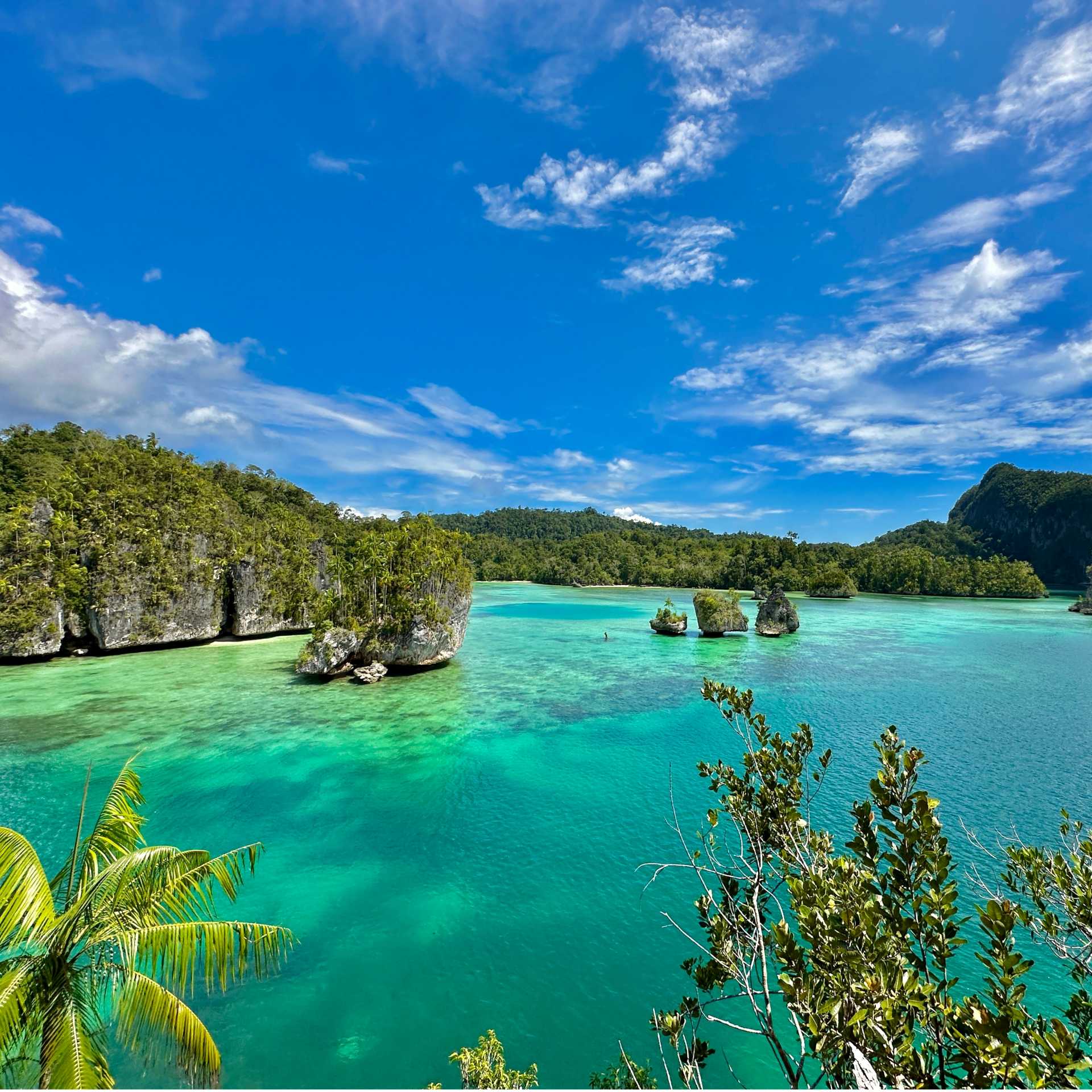 Paradise found at Triton Bay West Papua