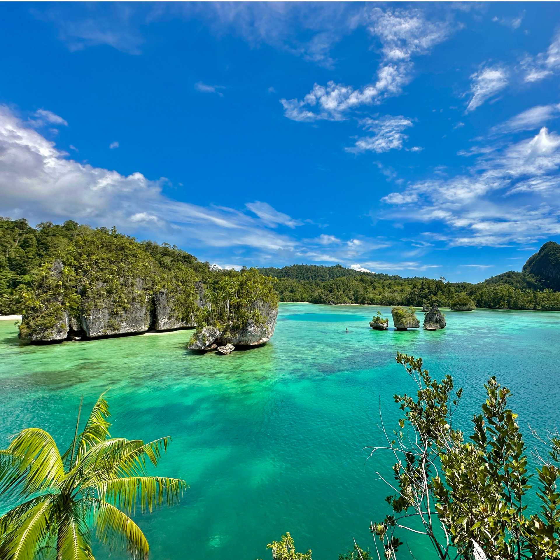 Paradise found at Triton Bay West Papua