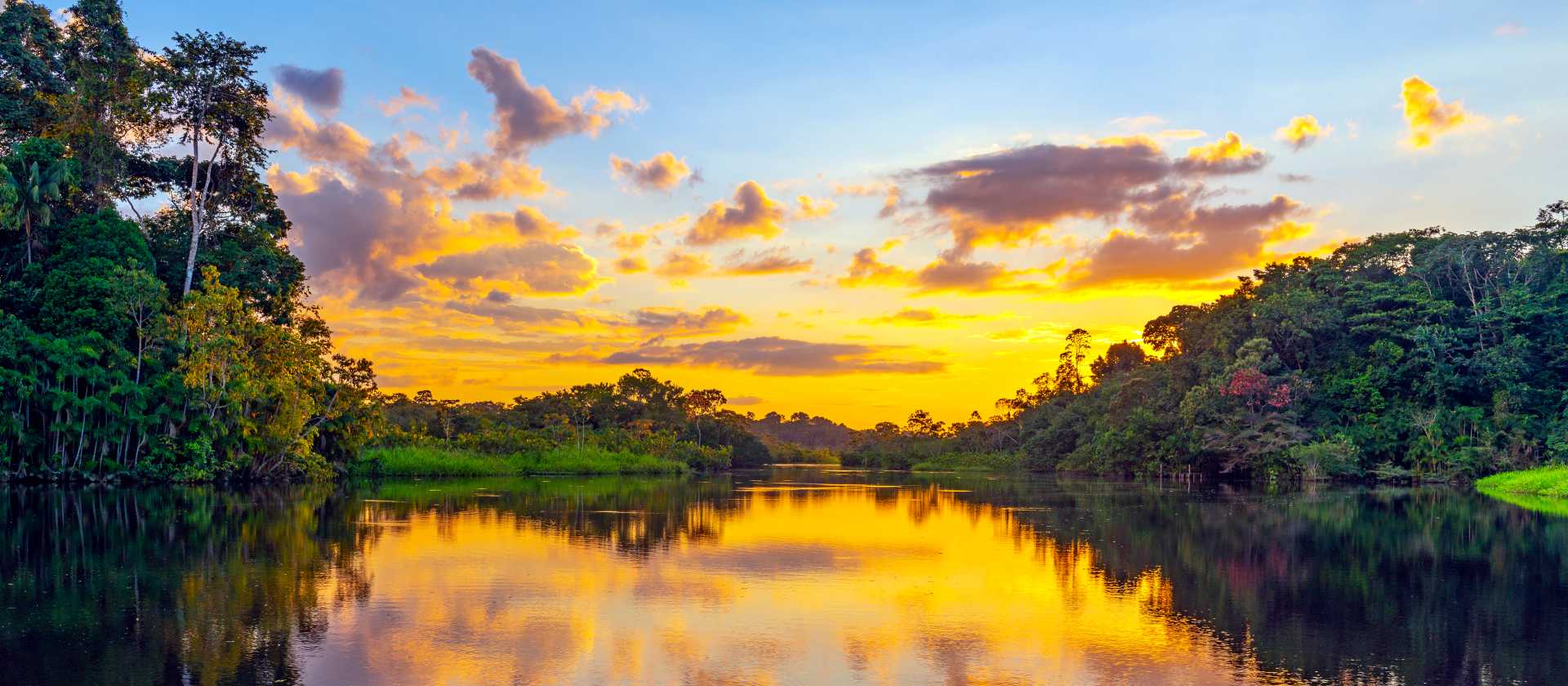 The sheer beauty of Yasuni National Park at sunset