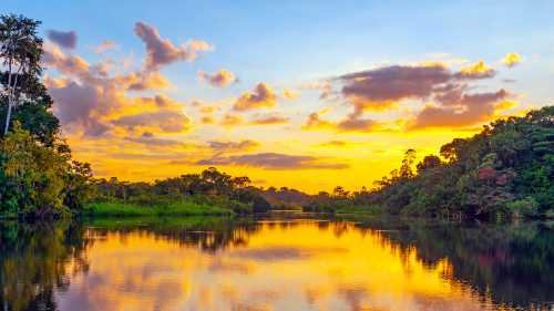 The sheer beauty of Yasuni National Park at sunset