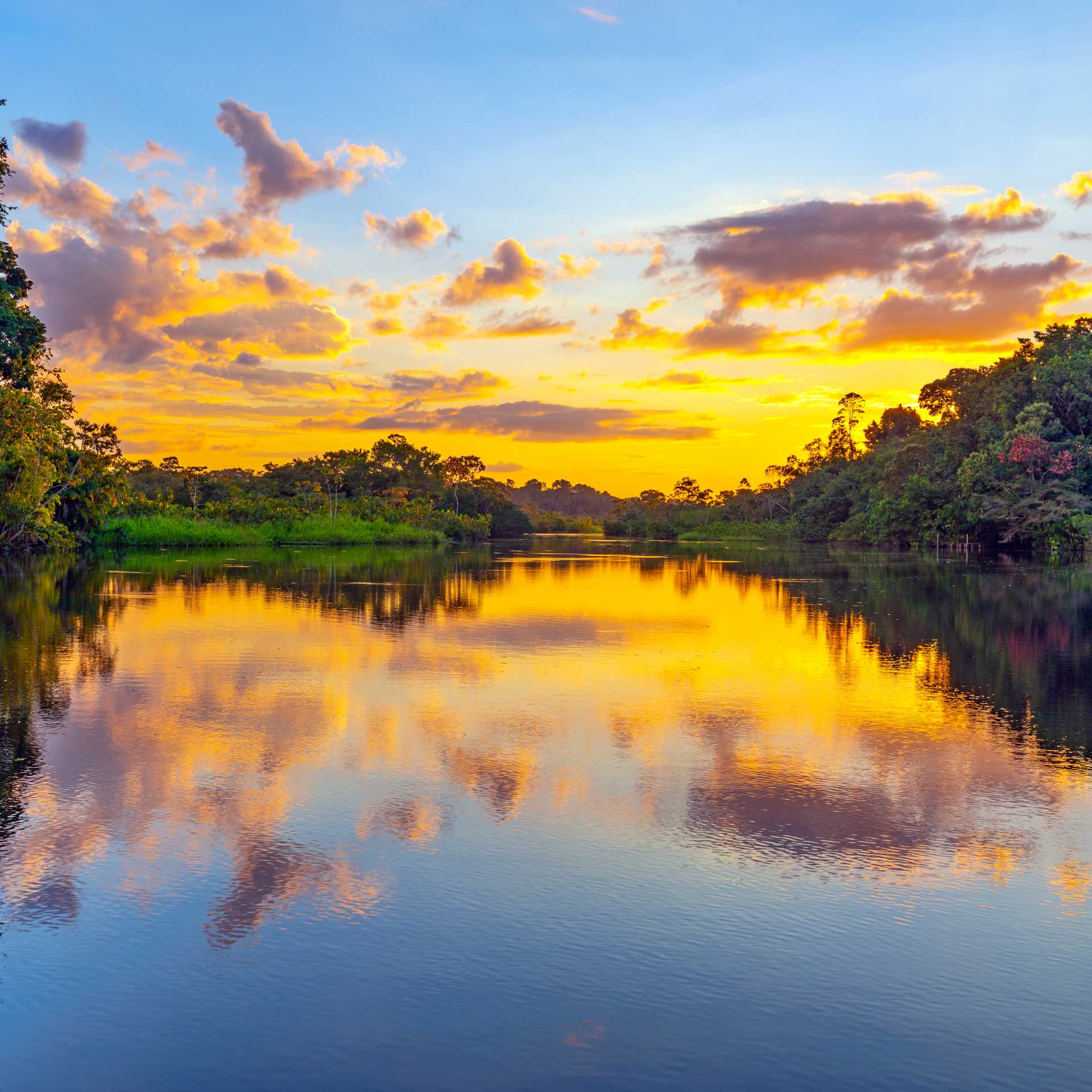 The sheer beauty of Yasuni National Park at sunset