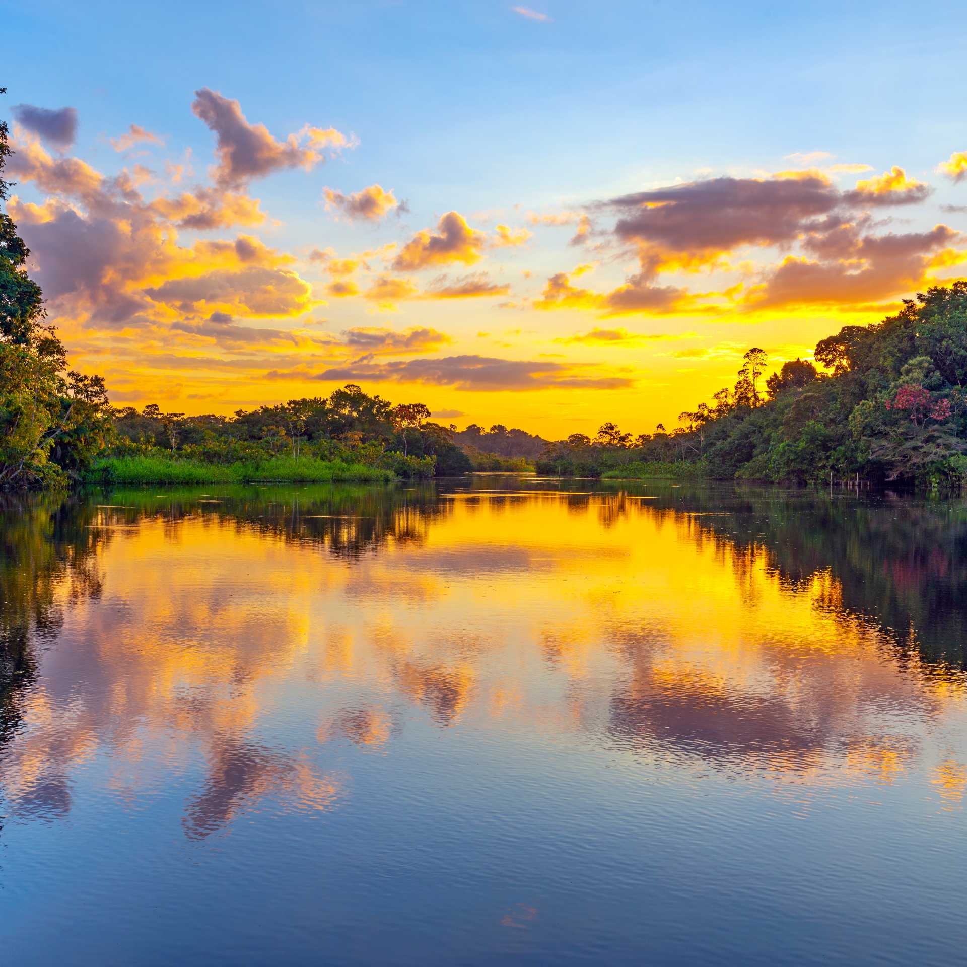 The sheer beauty of Yasuni National Park at sunset