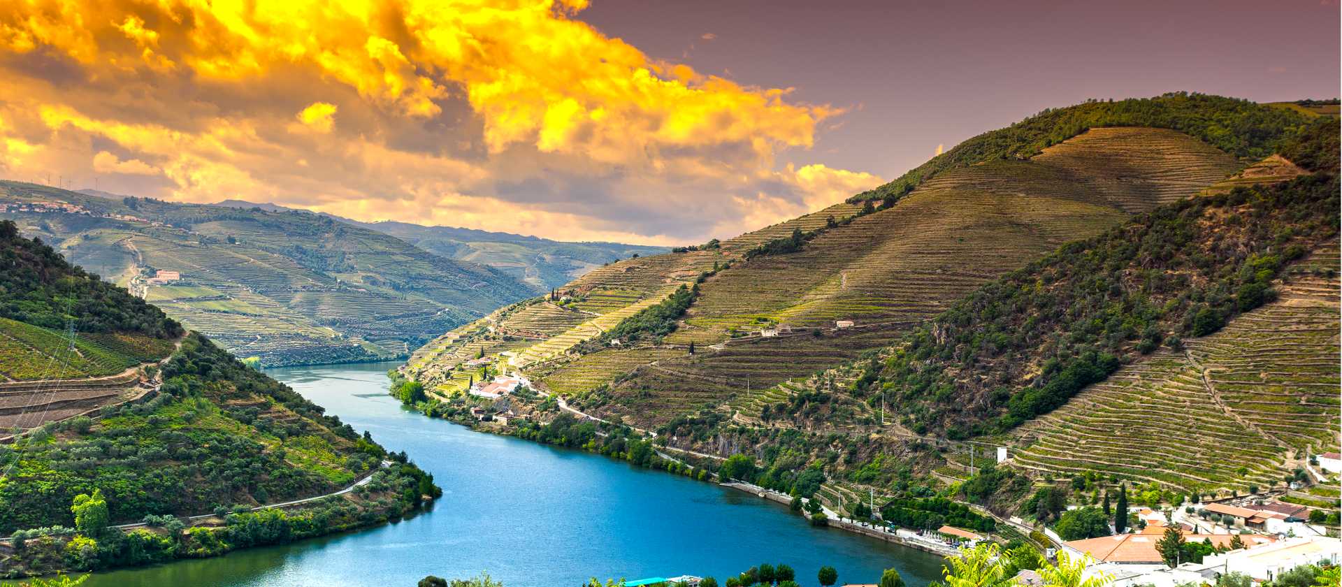 Hike and cruise as you explore the spectacular Douro River