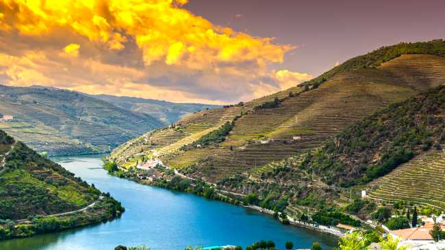 Hike and cruise as you explore the spectacular Douro River