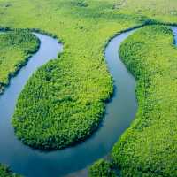 An aerial view of the Amazon rainforest in Brazil