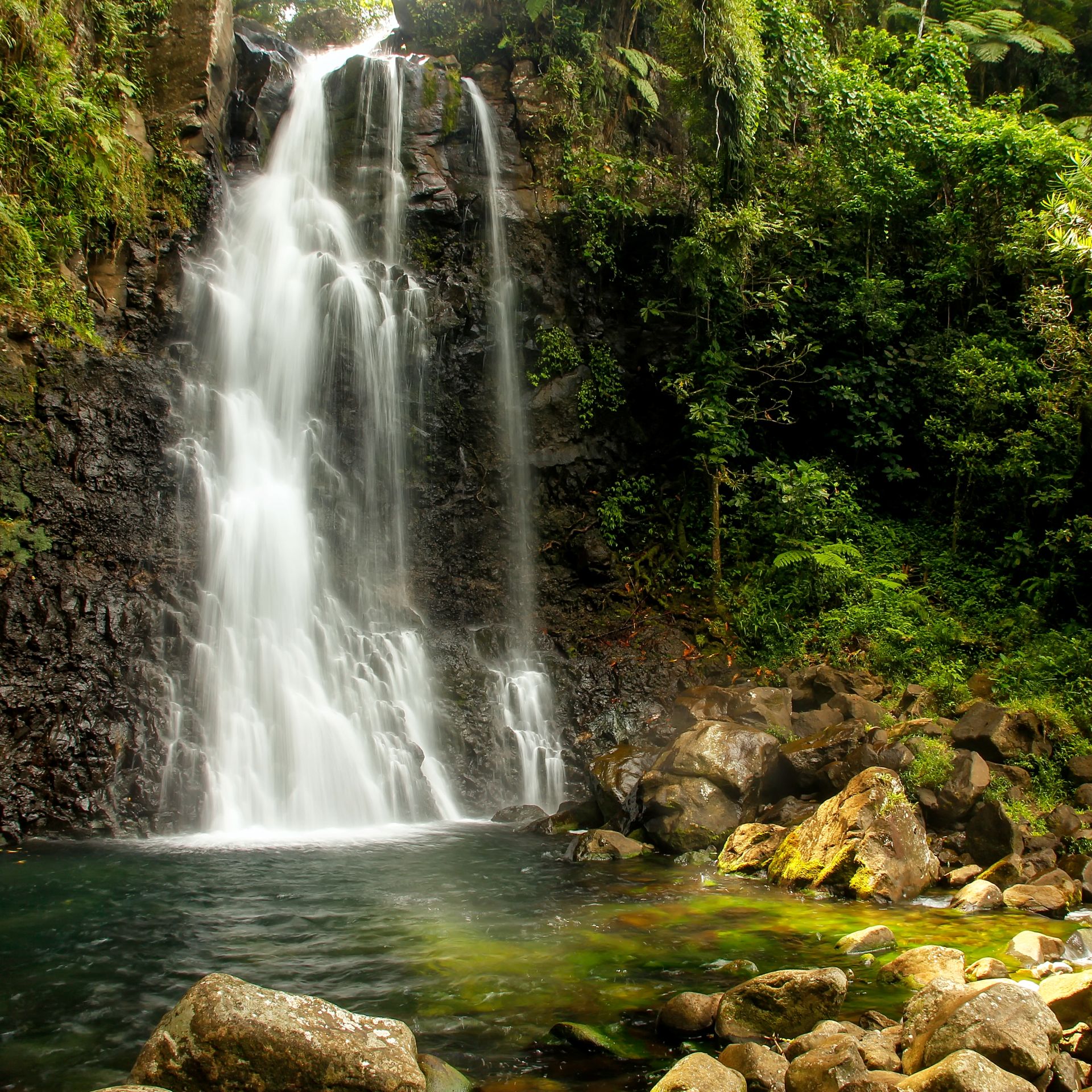 Bouma National Park, Taveuni, Fiji