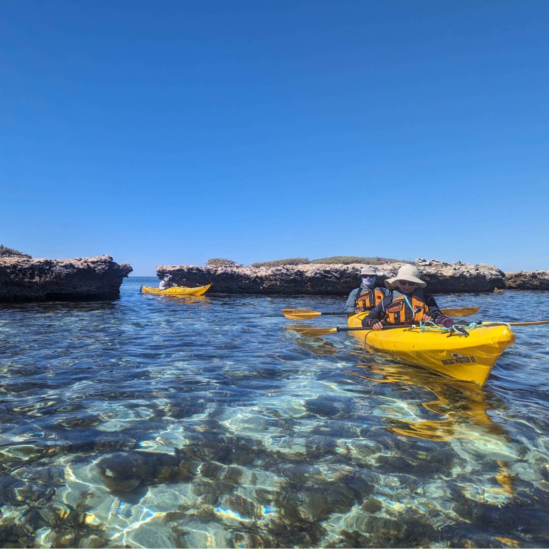 Kayaking the crystal clear waters of the Abrolhos Islands