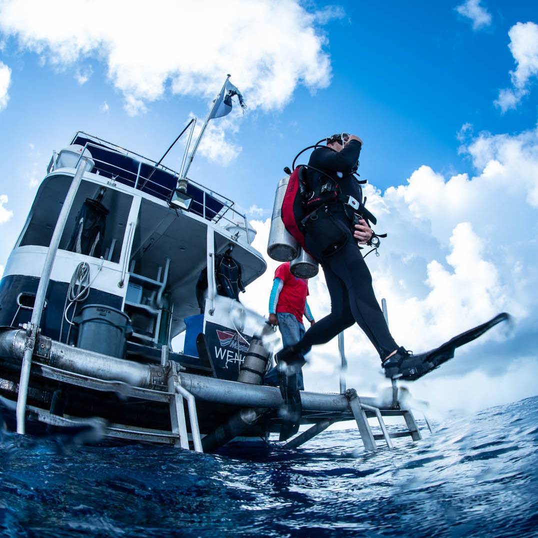 Taking the plunge off the Solomons Master | Simon Lorenz