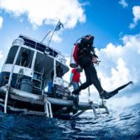Taking the plunge off the Solomons Master | Simon Lorenz