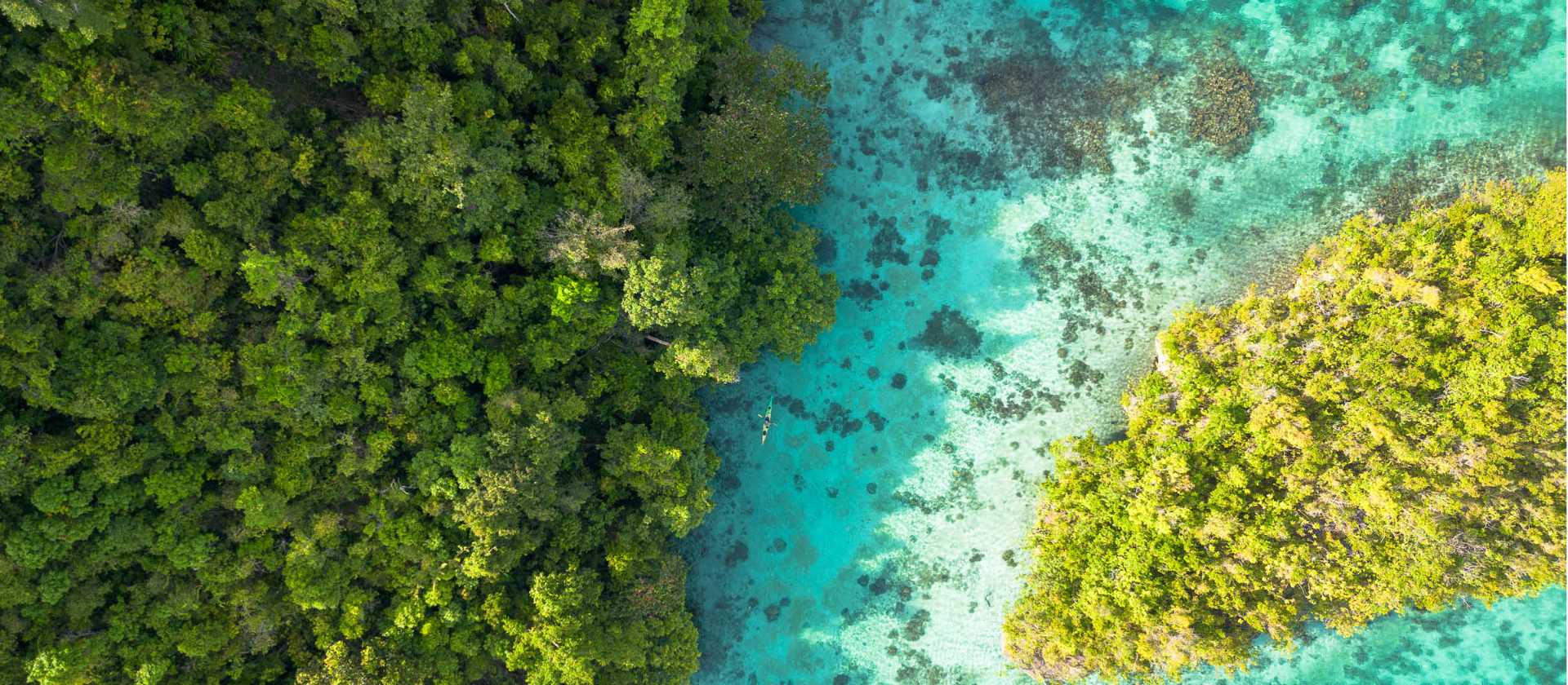 A myriad of colour in the Togean Islands of Indonesia