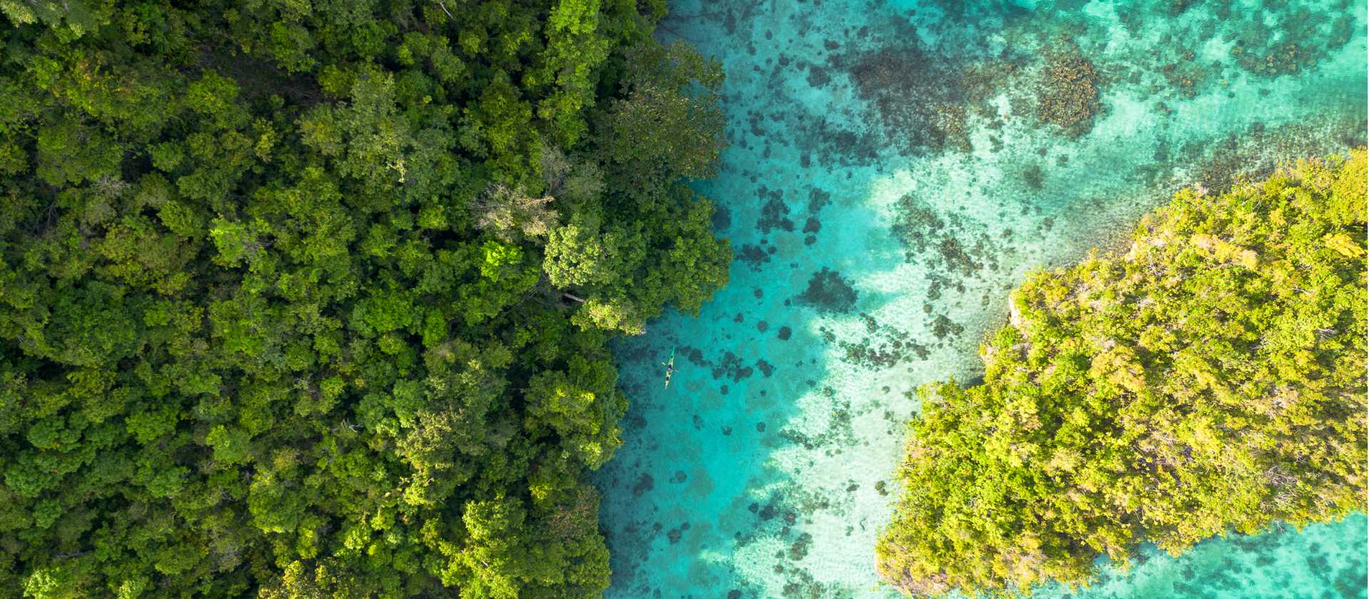 A myriad of colour in the Togean Islands of Indonesia