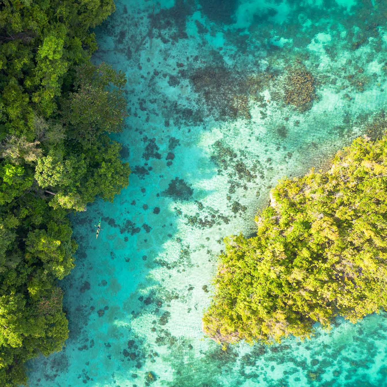 A myriad of colour in the Togean Islands of Indonesia