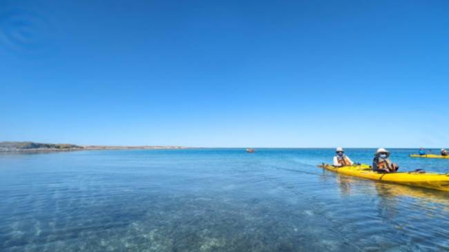 Kayaking the Abrolhos Islands