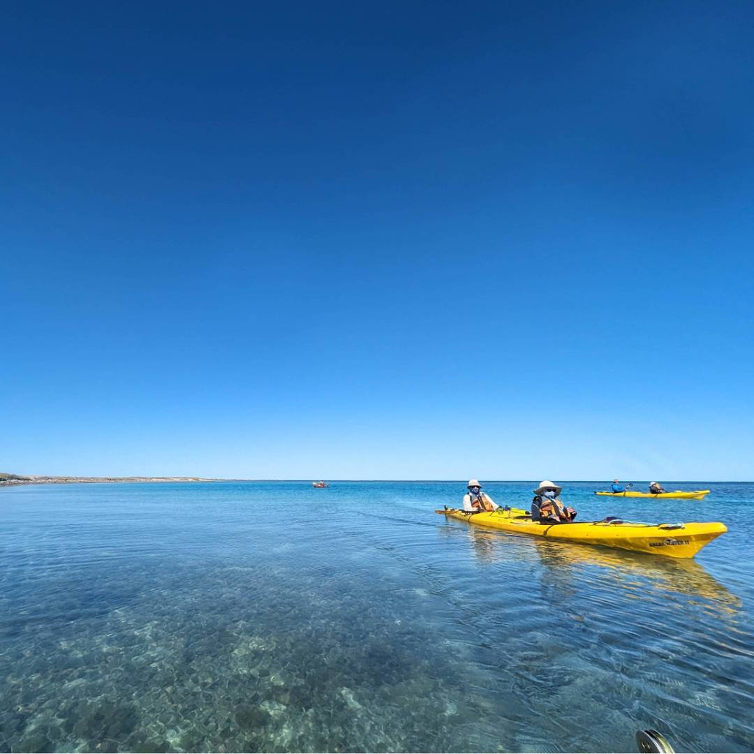 Kayaking the Abrolhos Islands