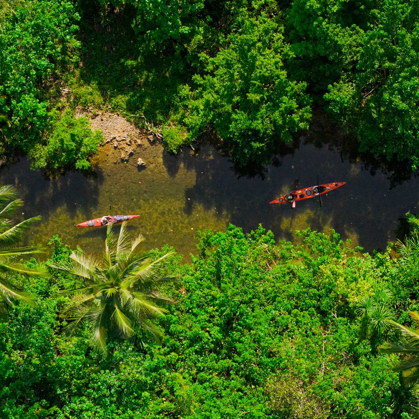 Explore the Solomon Islands by kayak