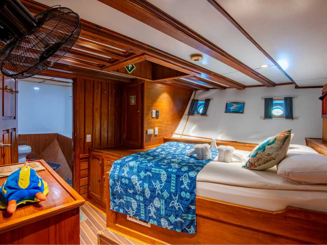 Palau Siren - Fixed Double Cabin 2