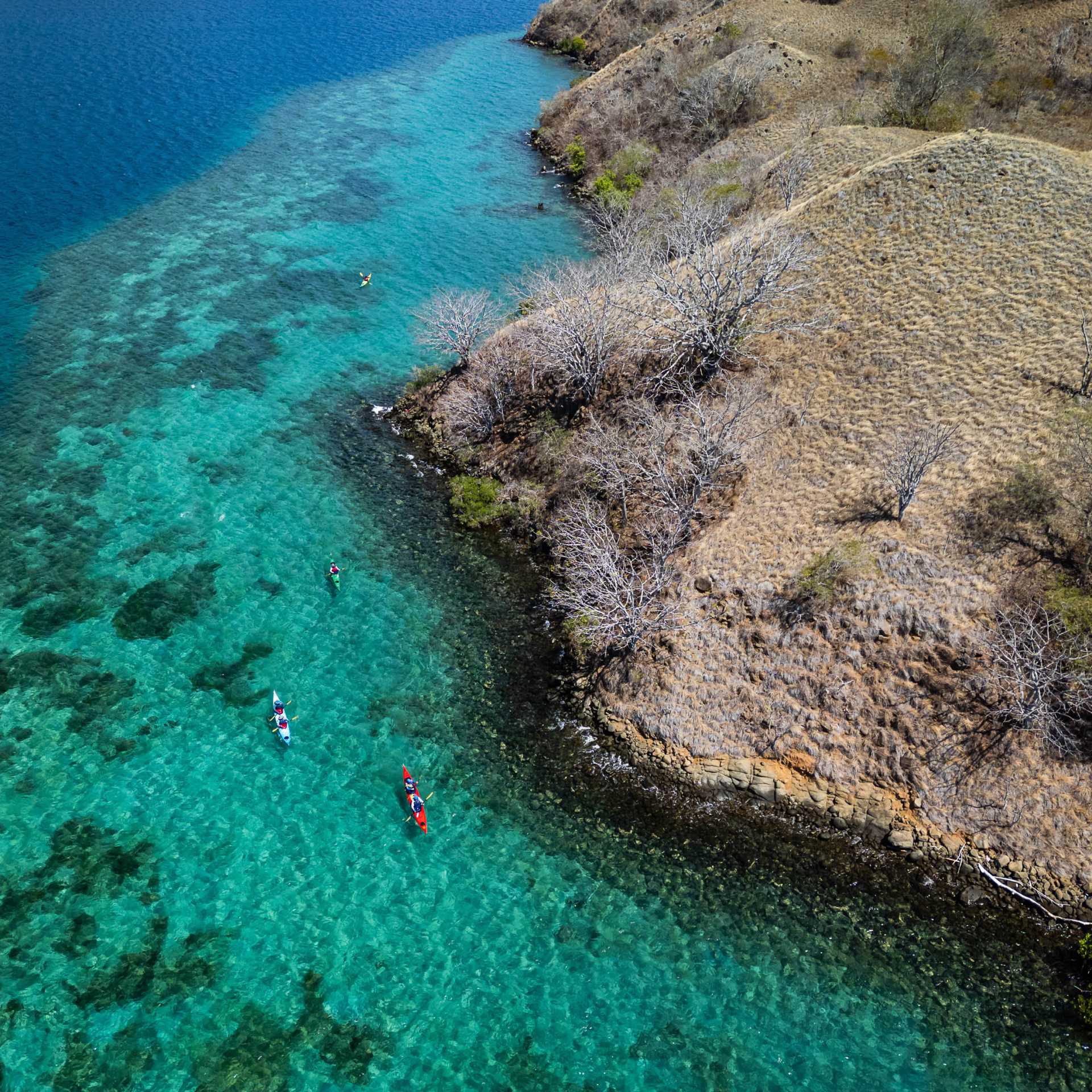 Kayak the Komodo Islands | Daniela Tommasi Photography