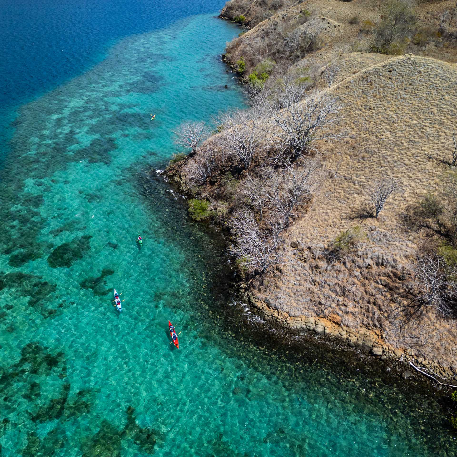 Kayak the Komodo Islands | Daniela Tommasi Photography