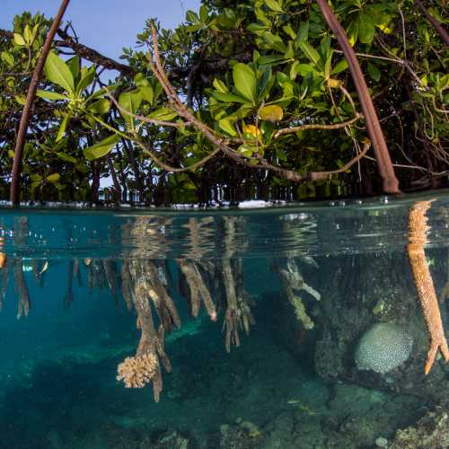 The crystal clear waters of the Solomon Islands