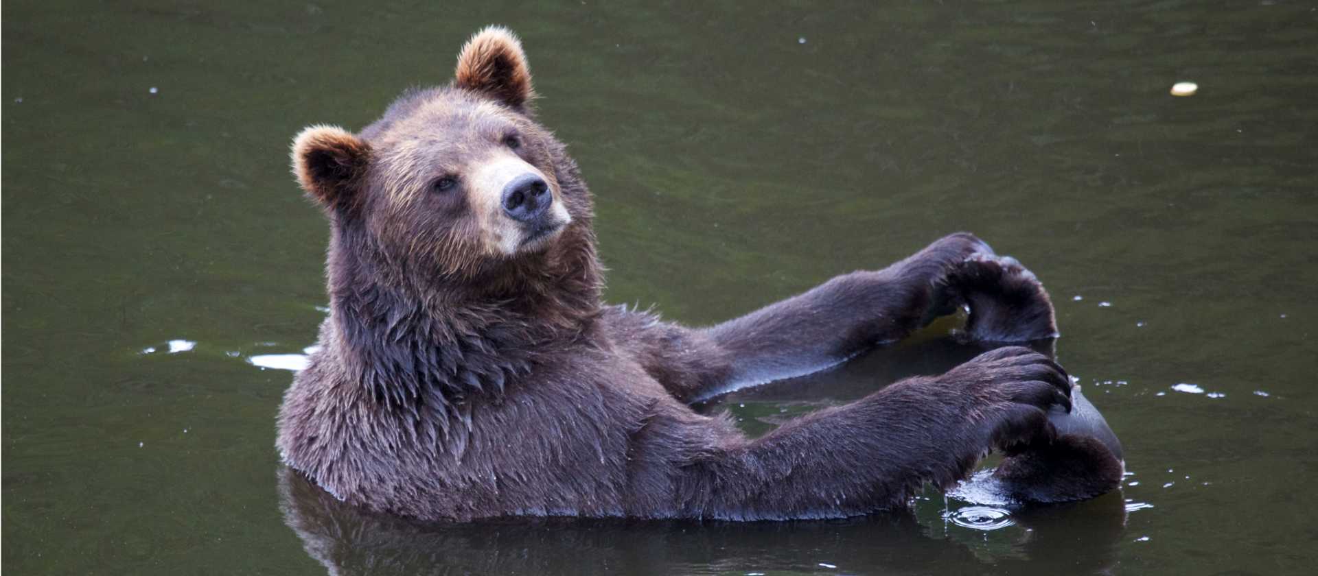 Sit back and relax and let the adventure unfold