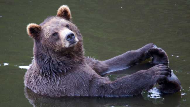 Sit back and relax and let the adventure unfold