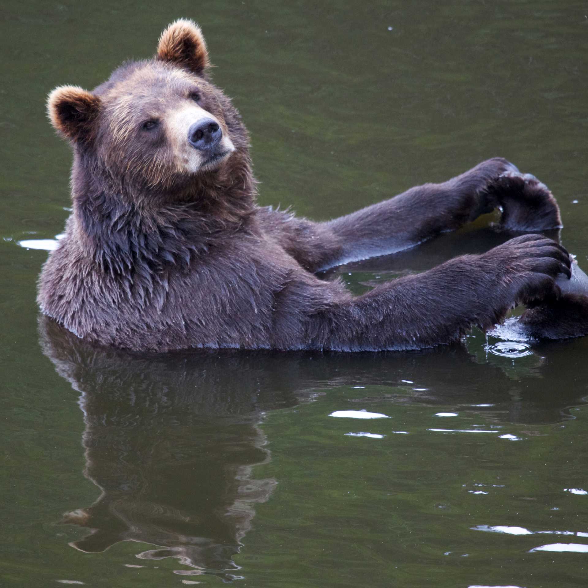 Sit back and relax and let the adventure unfold