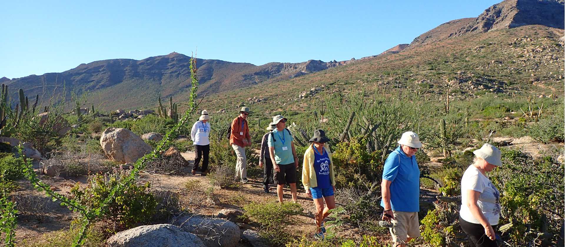 Hiking on the Baja Peninsula