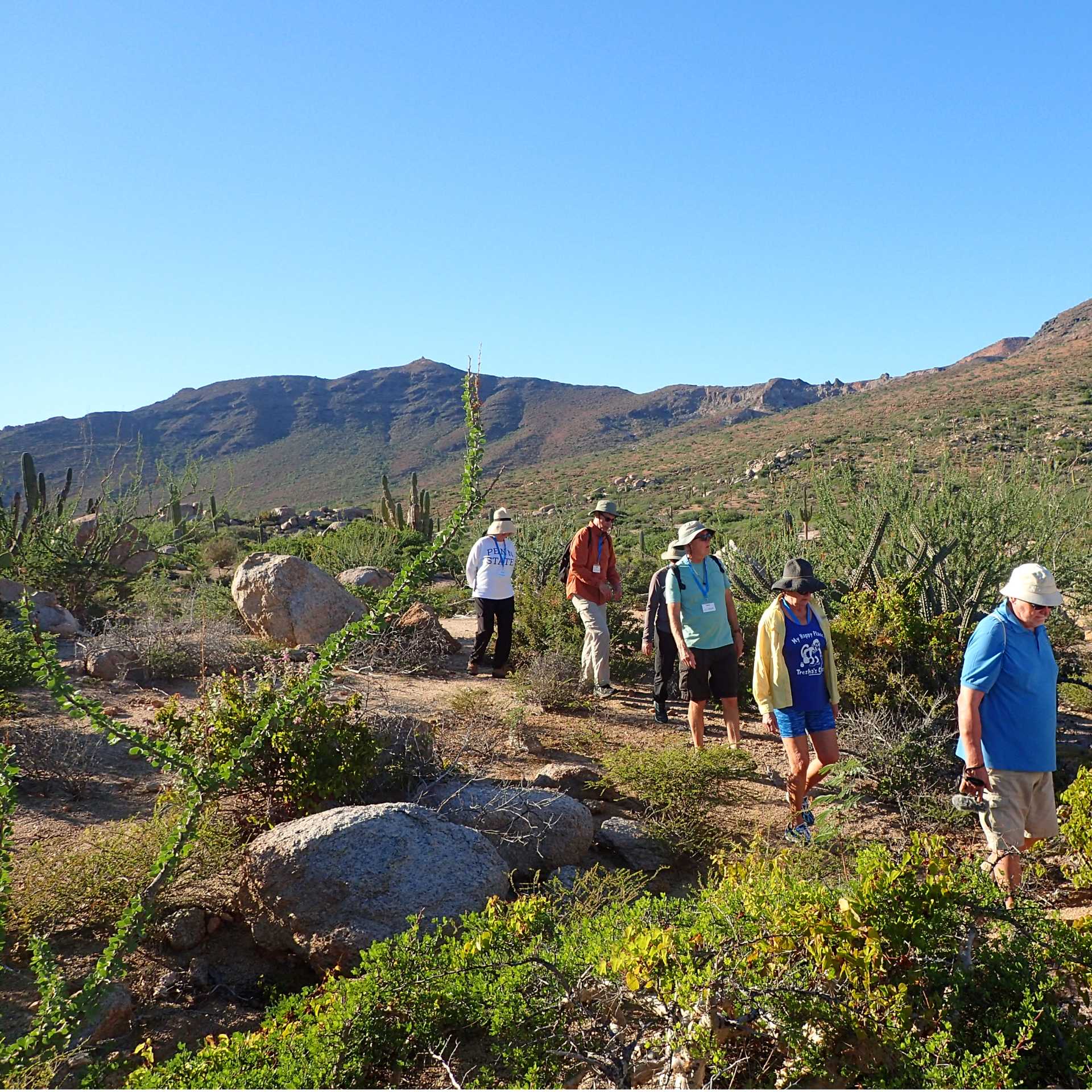 Hiking on the Baja Peninsula