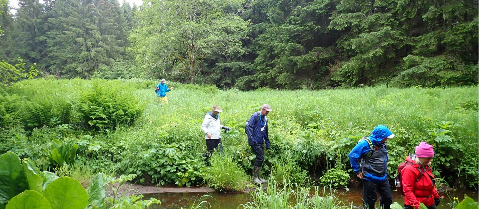 We make the most of opportunities to hike in Alaska,
