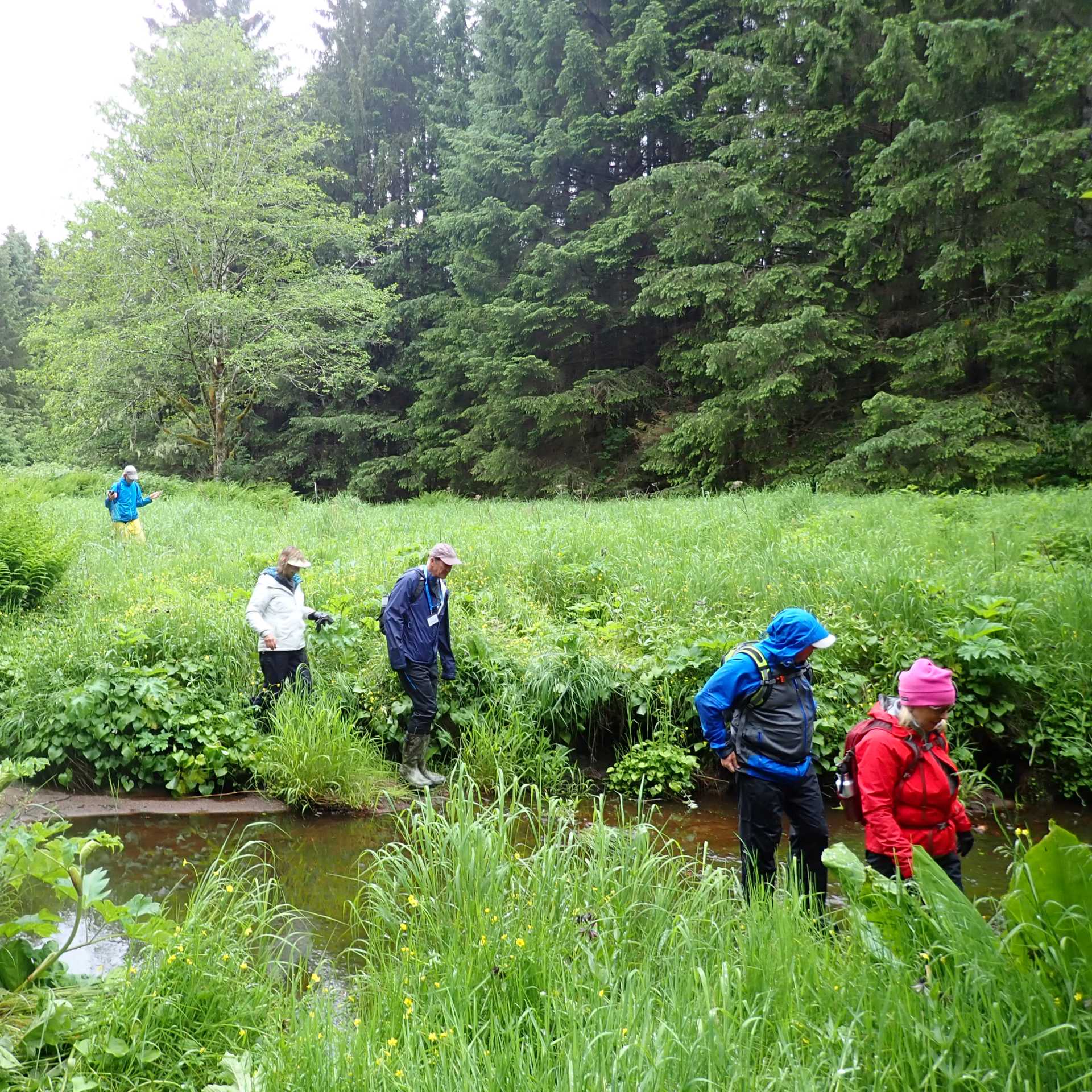 We make the most of opportunities to hike in Alaska,