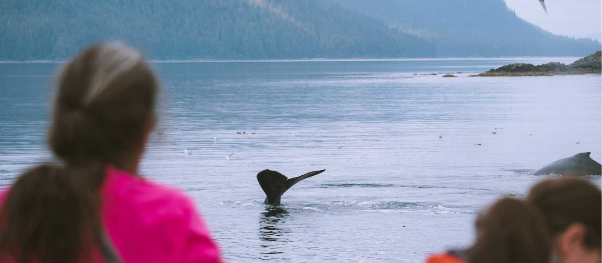 Making the most of wildlife opportunities as they arise