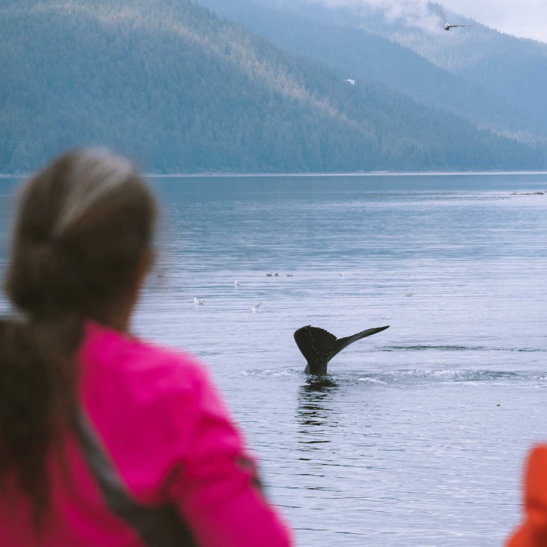 Making the most of wildlife opportunities as they arise