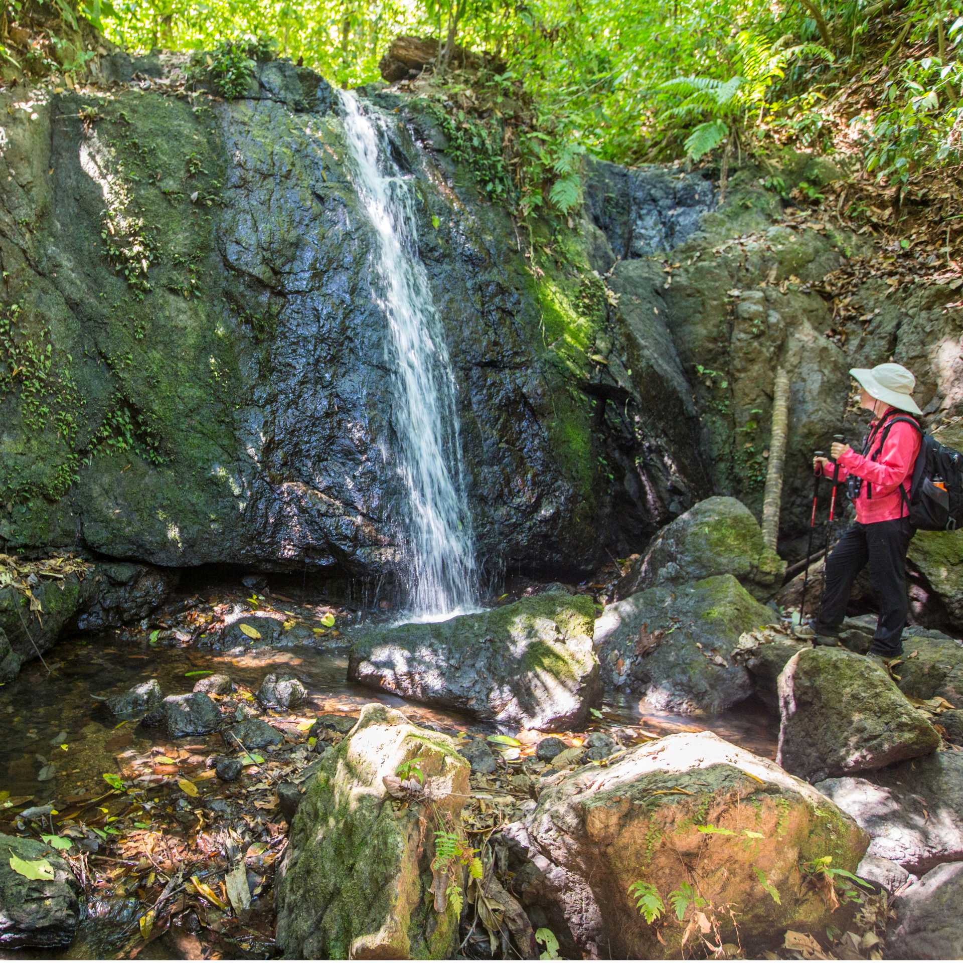 Hiking in Costa Rica