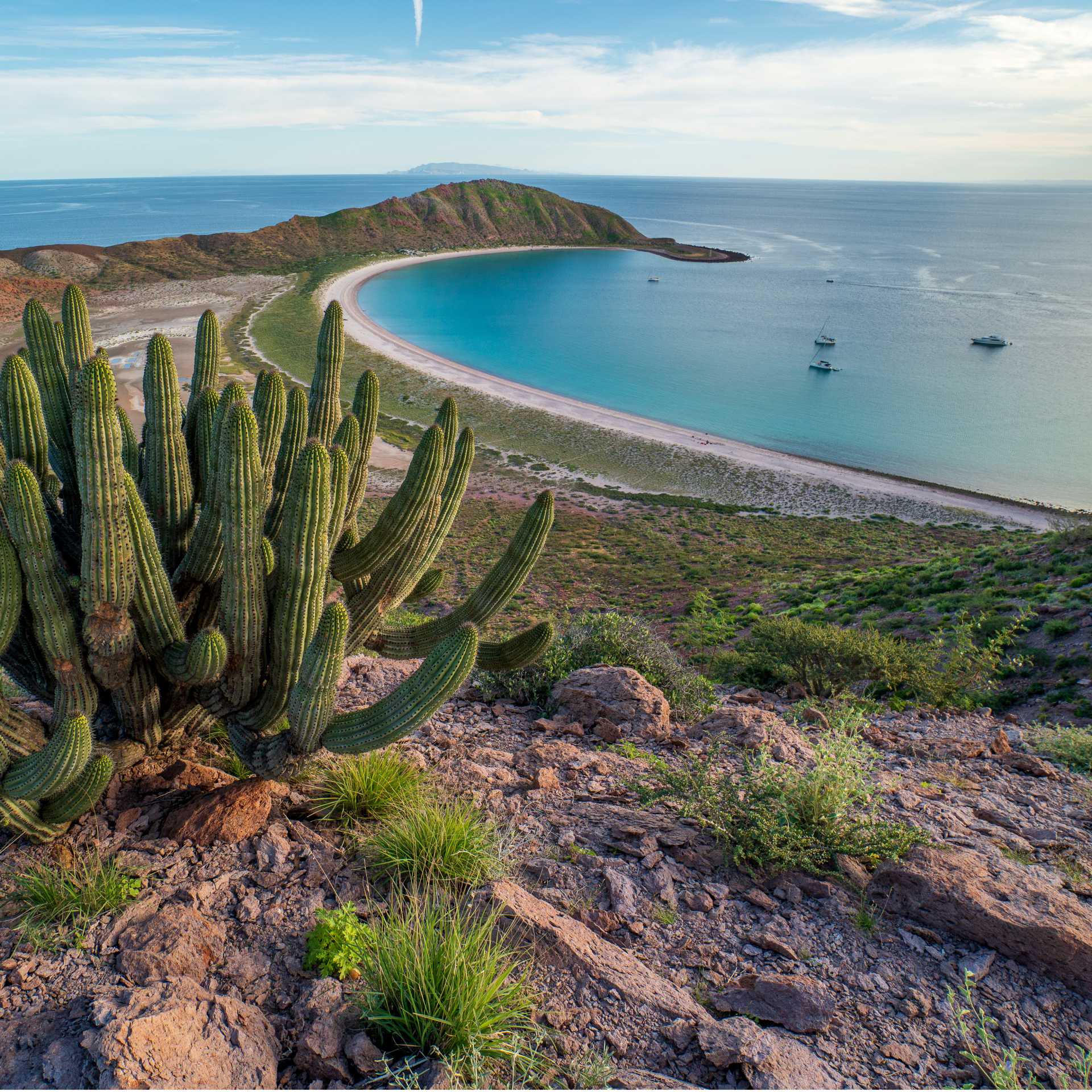 Spectacular Isla San Francisco, Baja Mexico