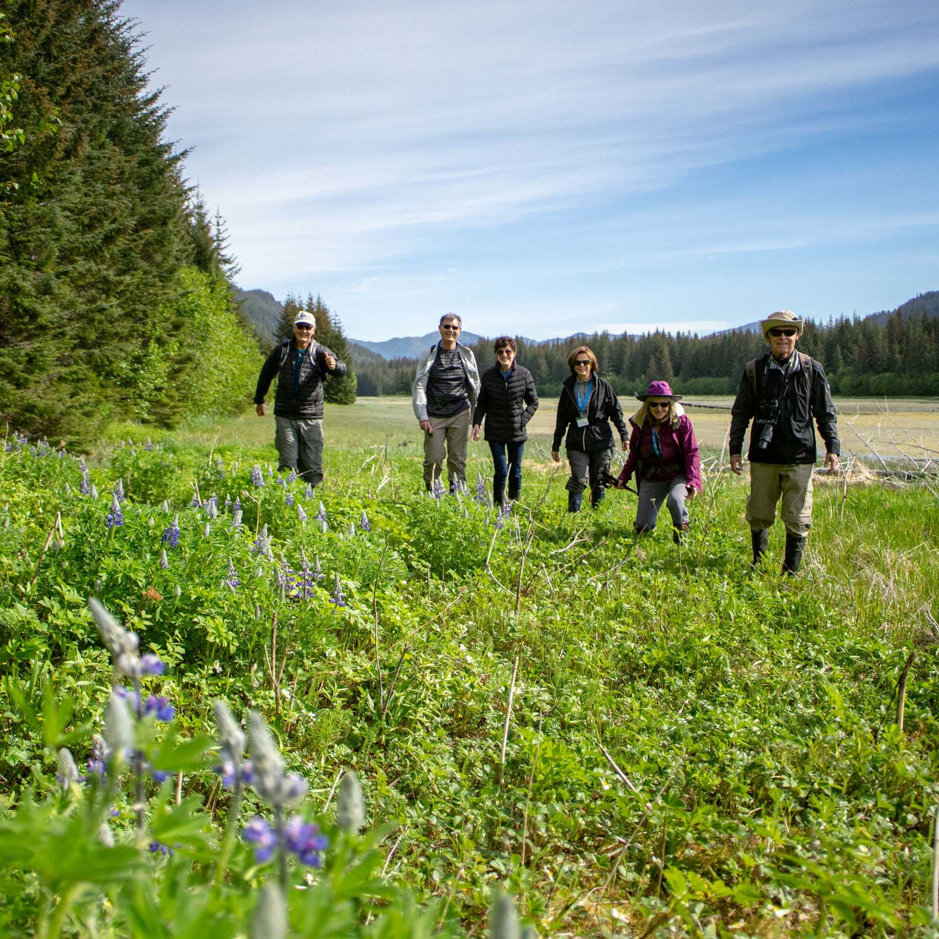Shorewalk on Baranof Island